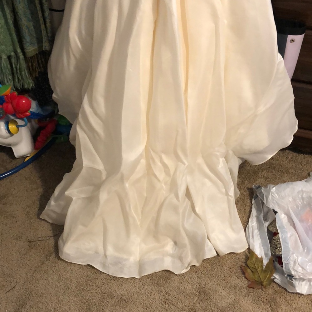 Wedding Dress - Picture 5 of 5